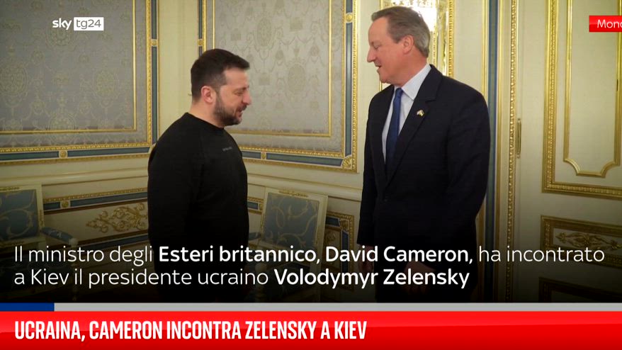 Ucraina, Cameron incontra Zelensky a Kiev