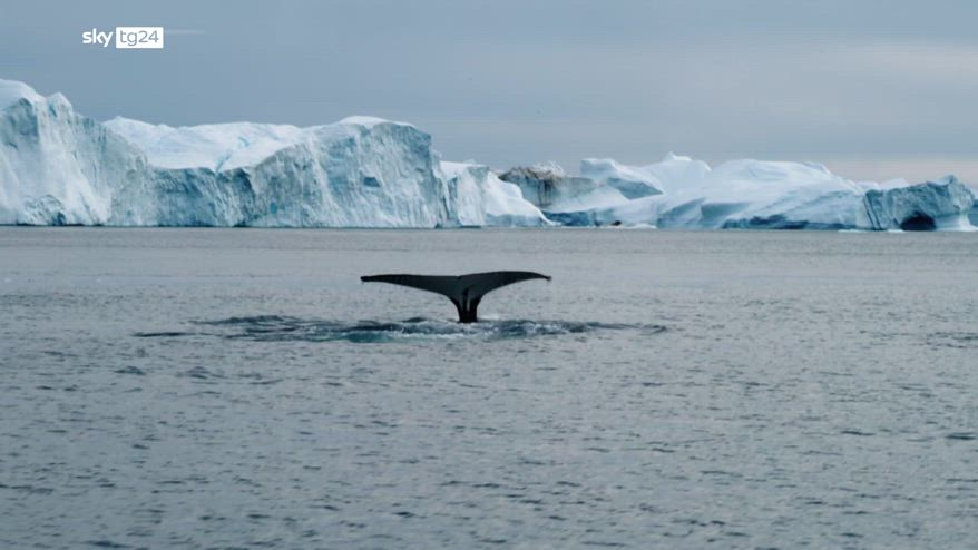Earth4all, lo scienziato: rischiamo di perdere la calotta della Groenlandia