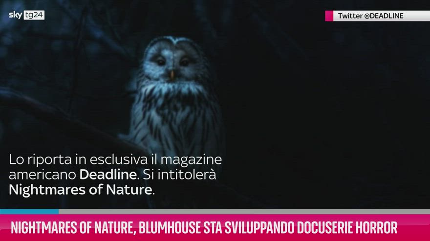 VIDEO Nightmares Of Nature, docuserie horror sulla natura