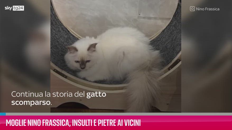 VIDEO Moglie Nino Frassica, insulti e pietre ai vicini