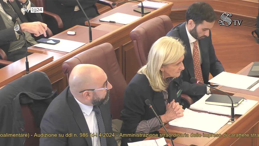 Morselli, ex Ilva: crisi liquidità per impianti in prestito