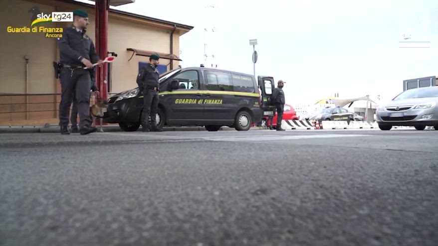 Ancona, salvi 30 cani importati illegalmente