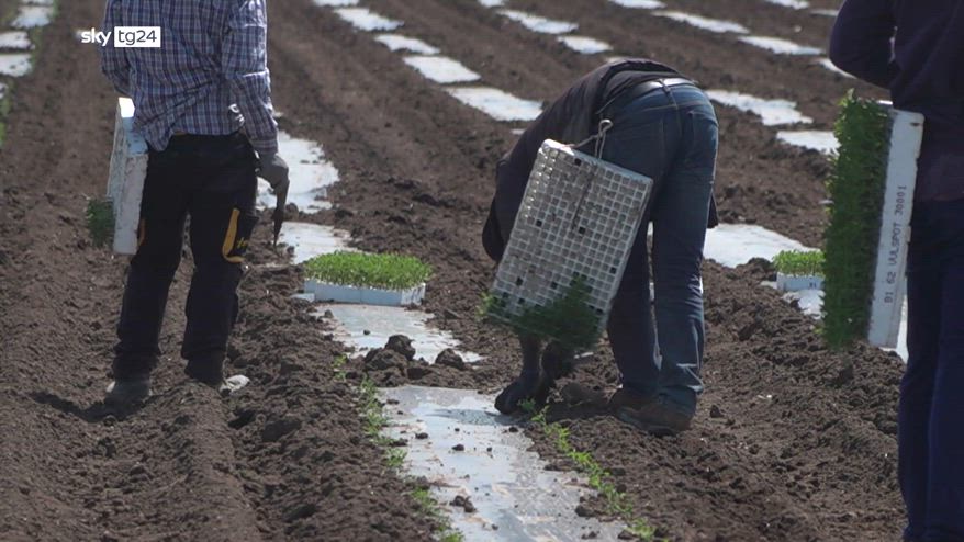 Lavoro, ultima chiamata per chi cerca extracomunitari