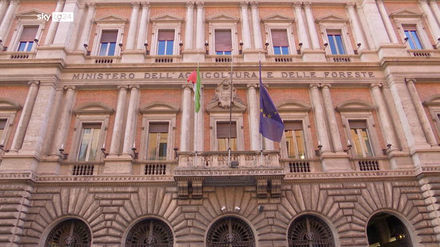 Chat antisemita, si autosospende Signorelli p.voce Lollobrigida