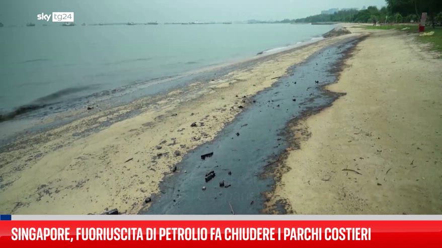 Singapore chiudono parchi costieri per perdita di petrolio