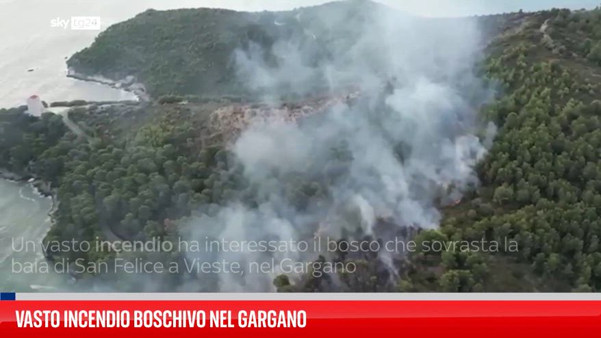 Gargano, vasto incendio boschivo devasta Baia San Felice