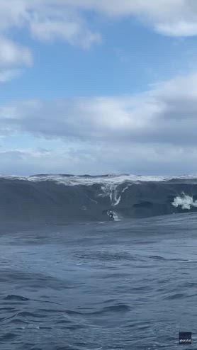 Tasmania, surfista travolto da onda gigantesca