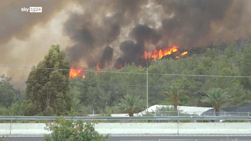 Incendio su colline Gerusalemme, Israele mobilita esercito