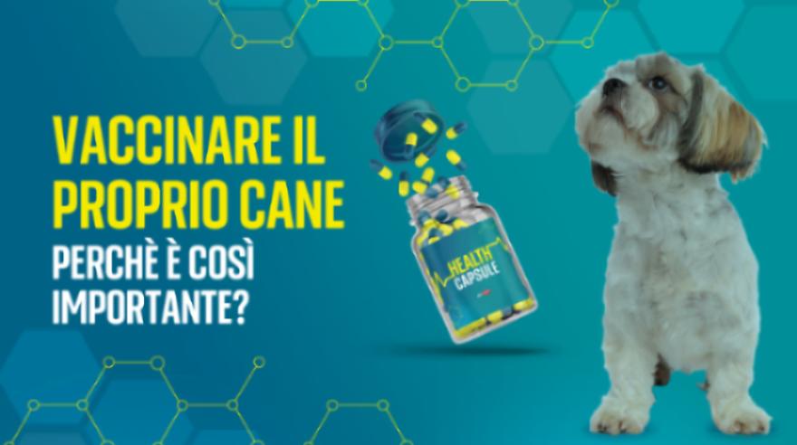 Vaccinare il proprio cane: perchè è così importante?