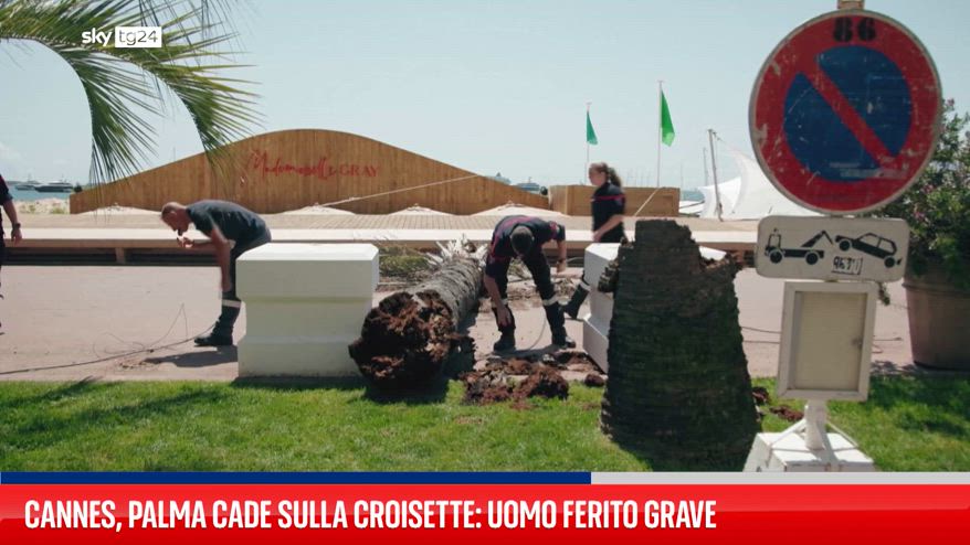 Cannes, palma cade sulla Croisette: uomo ferito grave