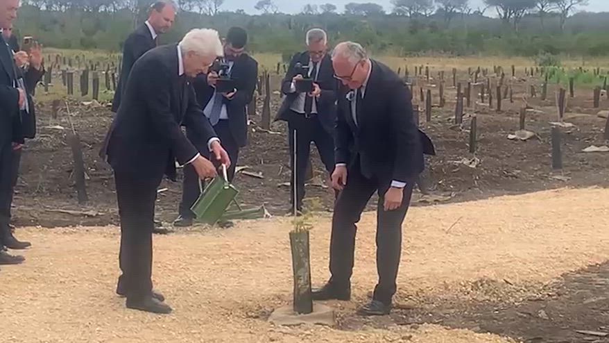Mattarella 