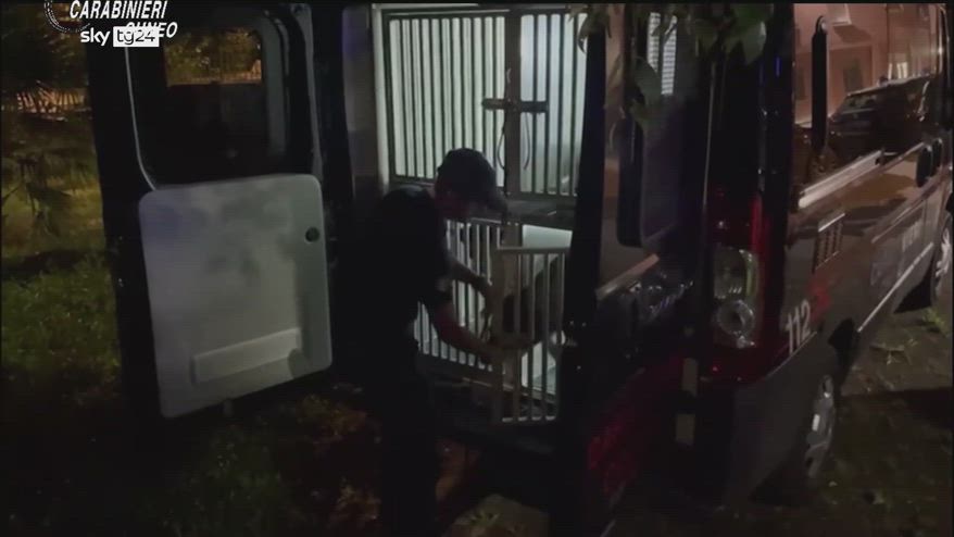 Cuneo, arrestati 13 sinti accusati di furti in abitazioni