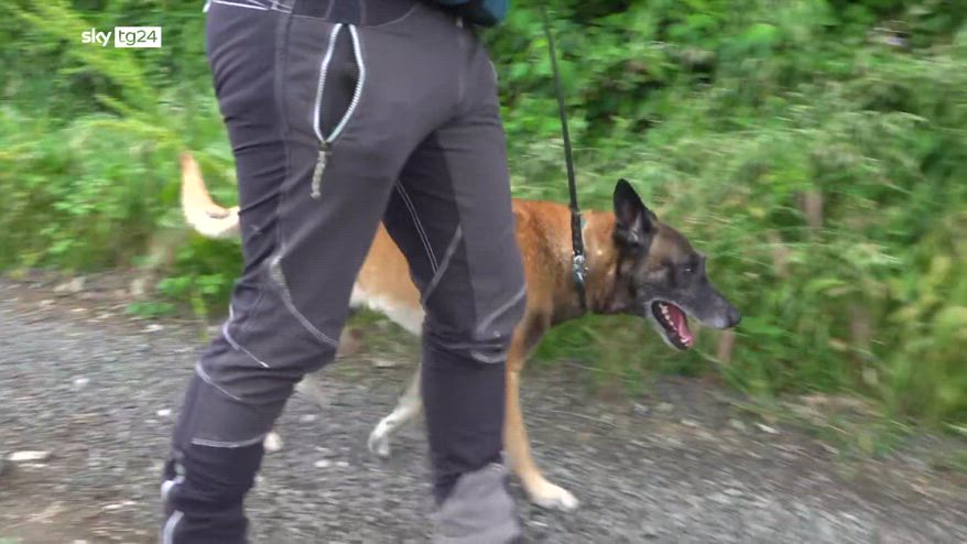 Donna scomparsa, ritrovato senza vita il corpo di Denisa