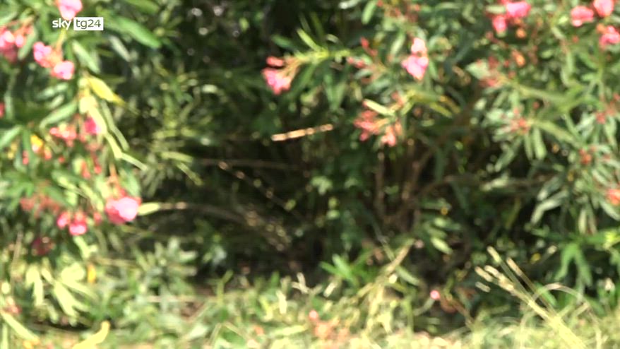 Giallo di villa Pamphili, DNA conferma: sono madre e figlia