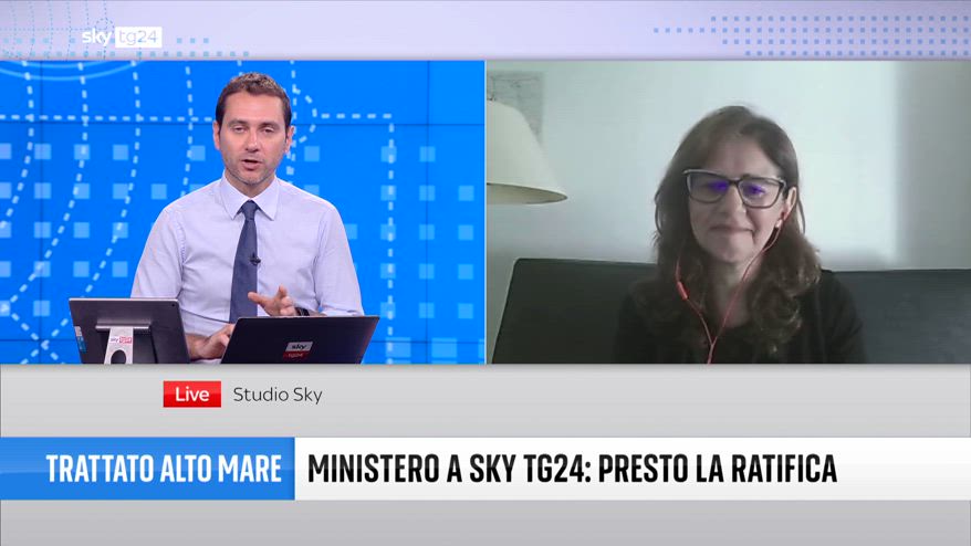 A che punto è il Trattato sull'Alto Mare