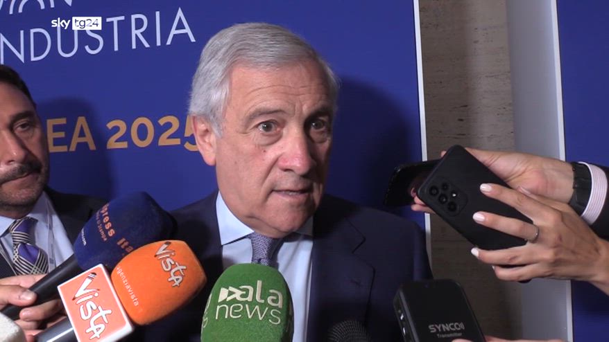 Cittadinanza, Tajani: pronti a confronto su nostra proposta