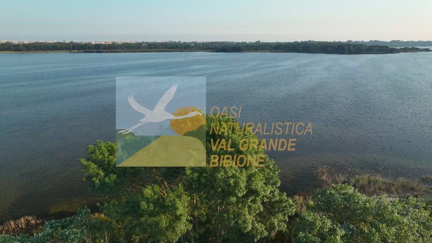 Oasi Val Grande, il paradiso selvaggio dell'Alto Adriatico