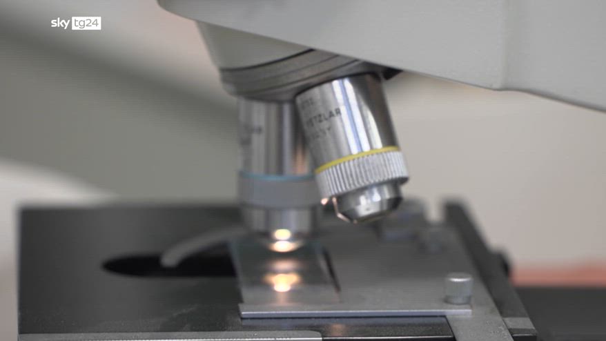 Delitto Garlasco, esami confermano dna ignoto