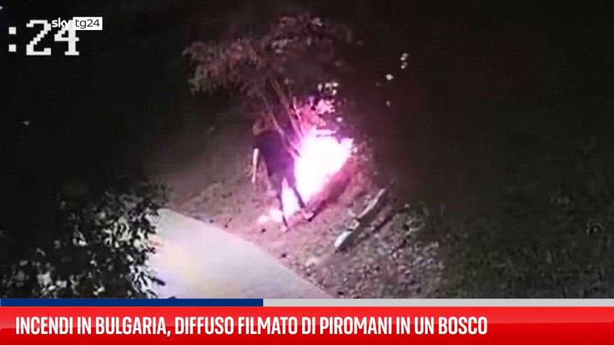 Incendi in Bulgaria, diffuso filmato di piromani in un bosco
