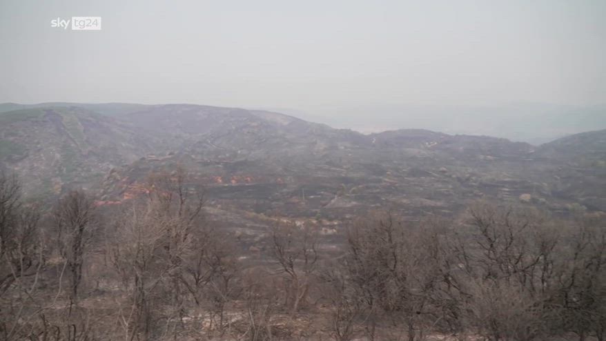 Incendi e tornadi di fuoco vicino a parco UNESCO in Spagna