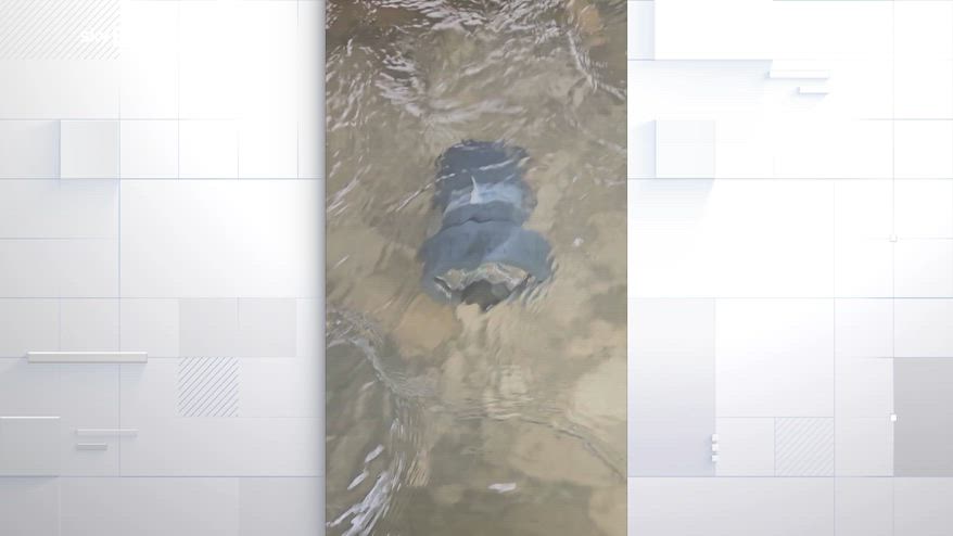 Legambiente, il progetto Waterwise monitora i bacini alpini