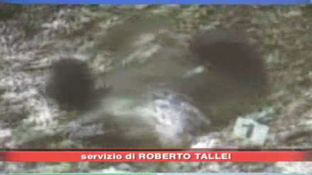 Abruzzo, ucciso un altro orso