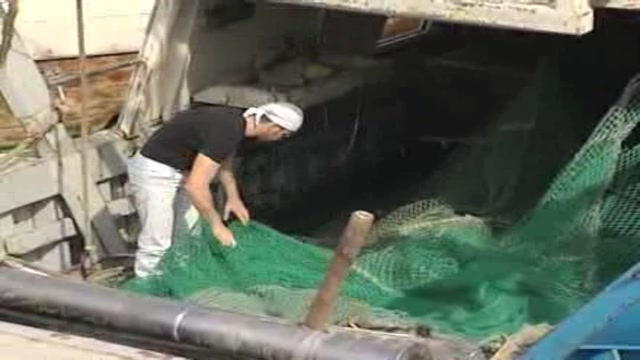 Pescatori in sciopero