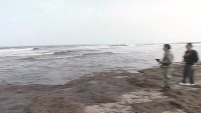 Aggrappati a gabbie per tonni