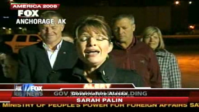 Sarah Palin: la sconfitta non è colpa mia 