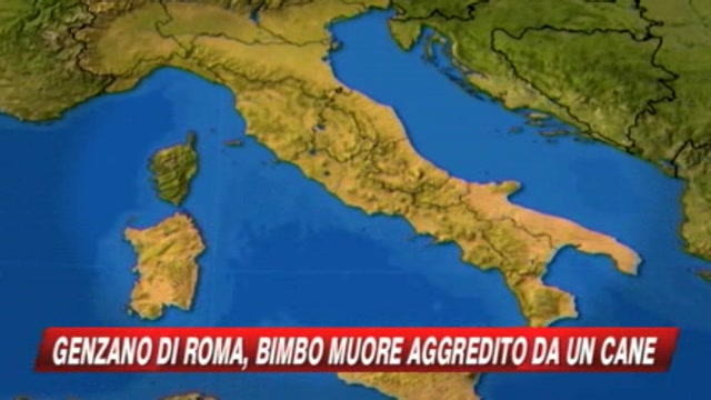 Roma, bimbo muore dopo essere stato aggredito dal cane
