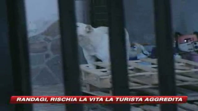 Ragusa, in pericolo di vita turista aggredita dai cani