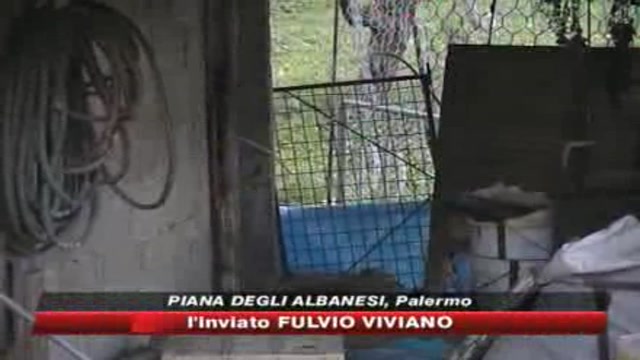 Palermo, uomo ucciso da trappola mortale