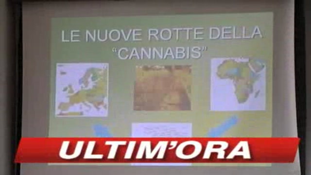 Verona, arrestati associati della 'Ndrangheta
