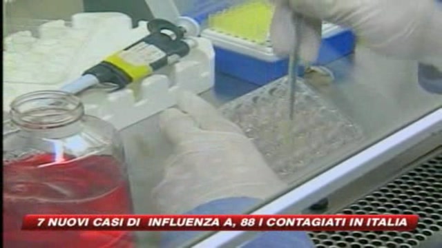 Influenza A, 7 nuovi casi in Italia. In tutto sono 88