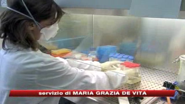 Influenza, Farmindustria: vaccino pronto in autunno