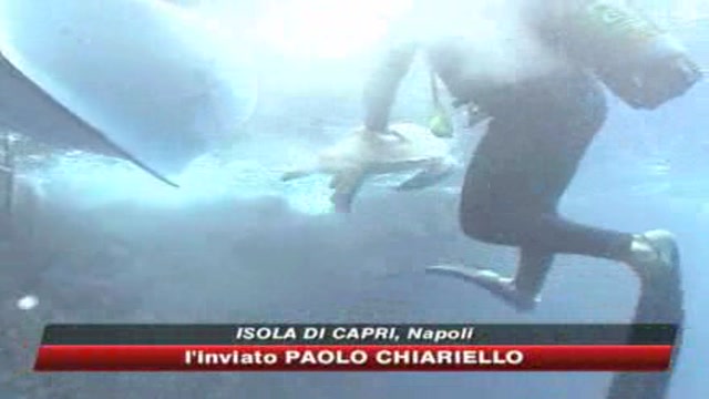 Capri, Marevivo libera due tartarughe Carretta Carretta
