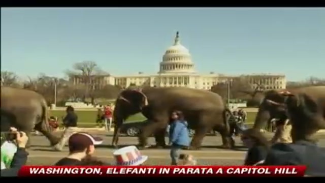 Washington, elefanti in parata a Capitol Hill
