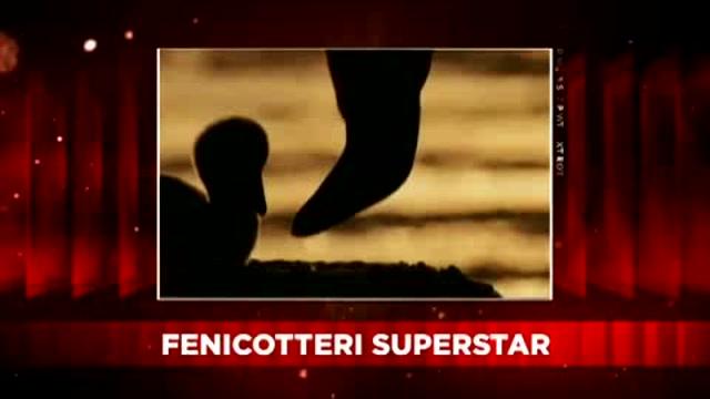 SKY Cine News: Fenicotteri superstar