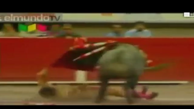 Messico, incornato torero durante una corrida