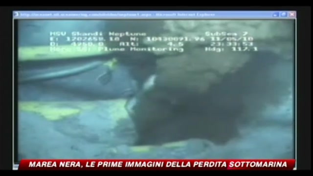 Marea nera, le prime immagini della perdita sottomarina