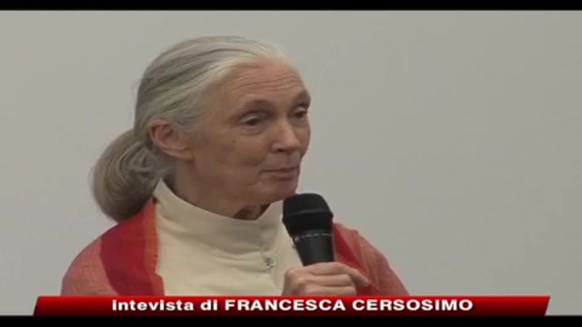 Jane Goodall, un'etologa impegnata per la difesa dell'ambiente