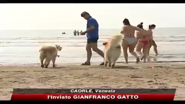 Sicurezza in spiaggia, all'opera i cani-bagnino