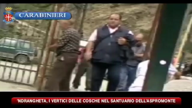 'Ndrangheta, i vertici nel santuario dell'Aspromonte