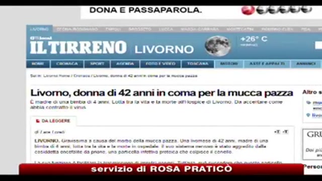 Mucca pazza, donna ricoverata in coma a Livorno