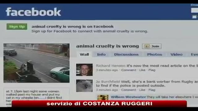 Facebook, la rabbia degli animalisti dopo gesto donna inglese