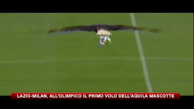 Lazio-Milan, all'Olimpico il volo dell'aquila mascotte