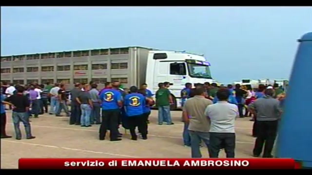 Protesta pastori, conclusa occupazione molo Porto Torres