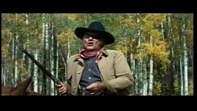 True Grit, I fratelli Coen riadattano Il Grinta