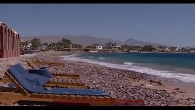 Sharm El Sheikh, squalo attacca e uccide turista tedesca