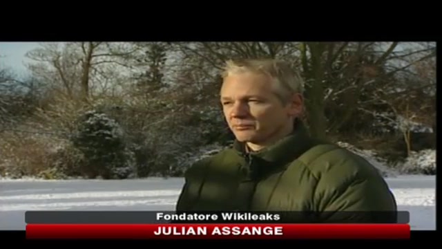 Wikileaks, Assange: le accuse contro di me sono solo una montatura